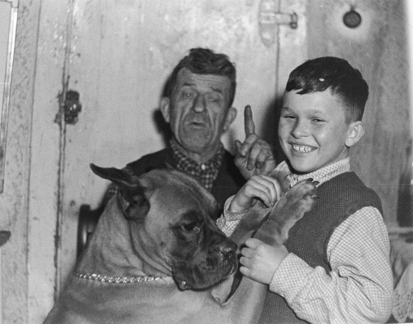 Fotoarchiv Pilz 0093