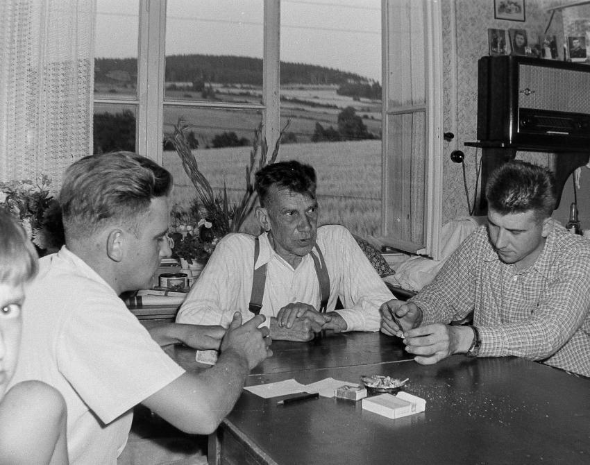 Fotoarchiv Pilz 0007