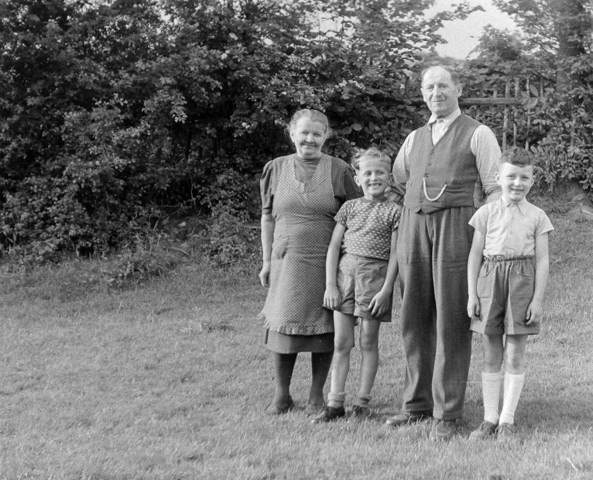 Fotoarchiv Pilz 0069