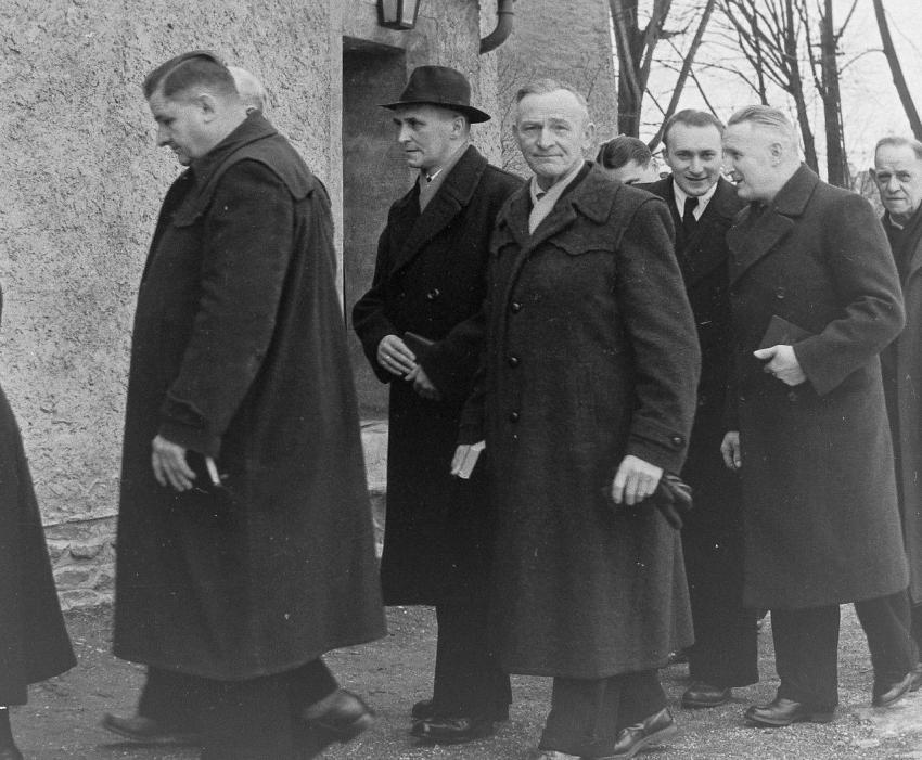 Fotoarchiv Pilz 0113