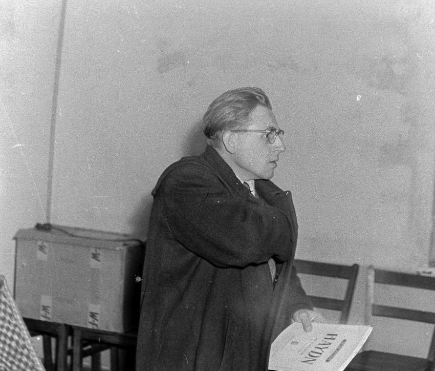 Fotoarchiv Pilz 0101