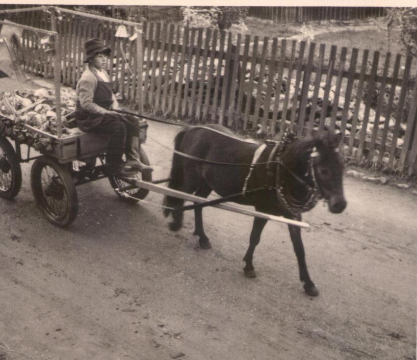 06 1961 Schul und Heimatfest 282