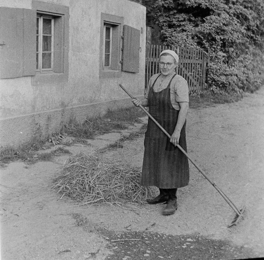 Fotoarchiv Pilz 0108