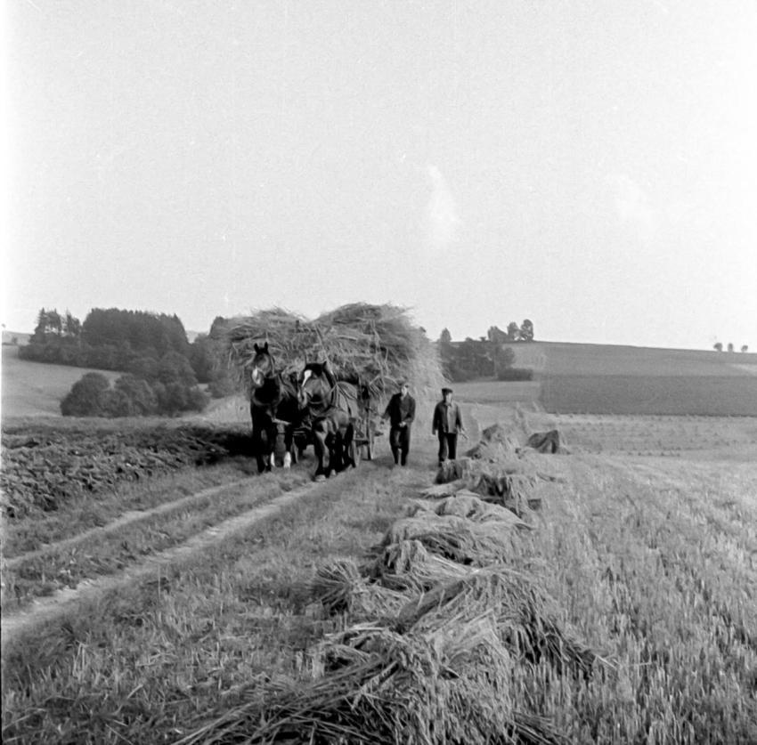Landwirtschaft  016