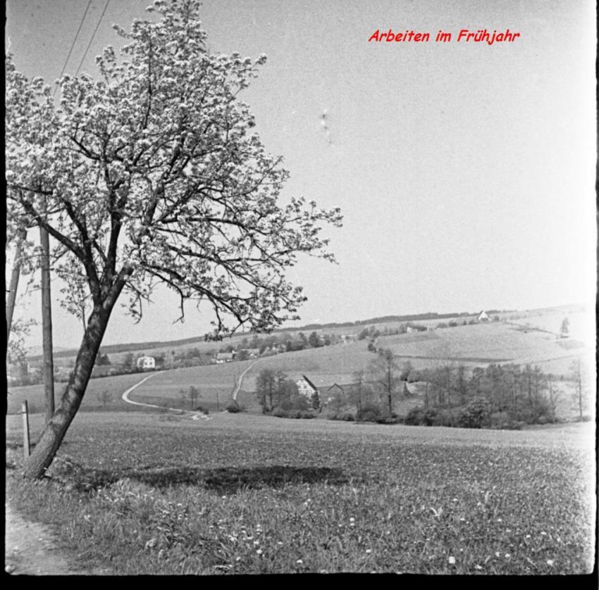 0042 Arbeiten im Fruhjahr