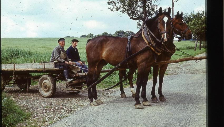 KurtHaselbachu Sohn1974