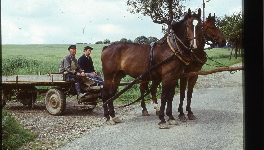 1974KurtHaselbachu Sohn