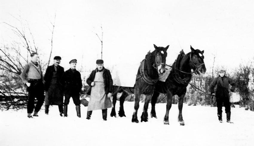 0034 Winterarbeit Holzschleppen