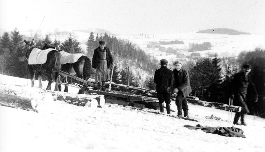 0033 Winterarbeit Holzschleppen