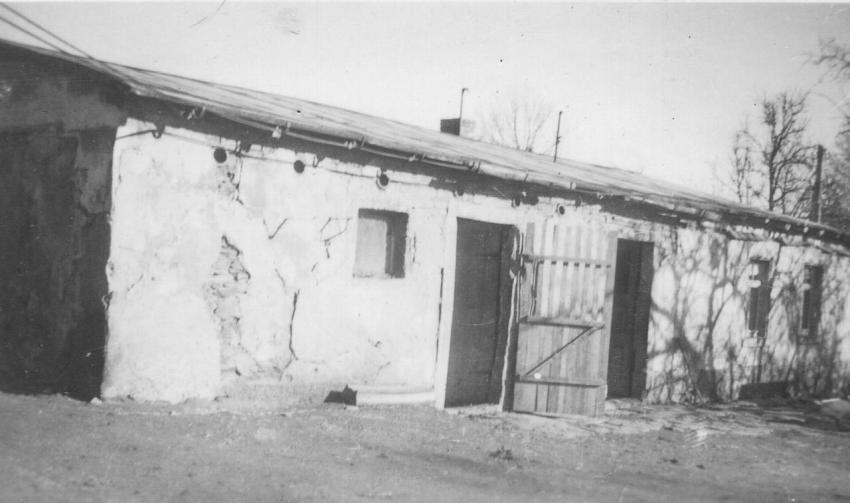 28Si Sei OL37K Loschner