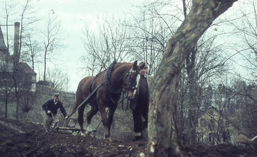 Rekultivierung Kirchteich 04