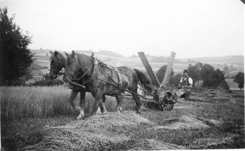 0093  Flugelmaschine