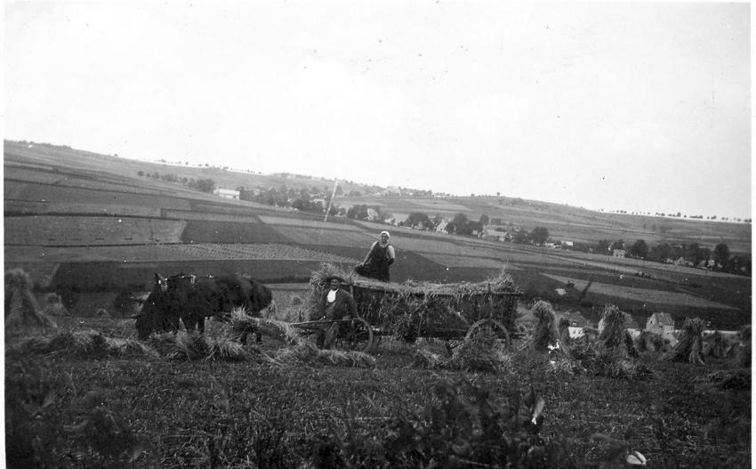 0096 Max und Milda Klotz