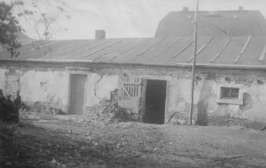 32Si Sei OL157A Wolf