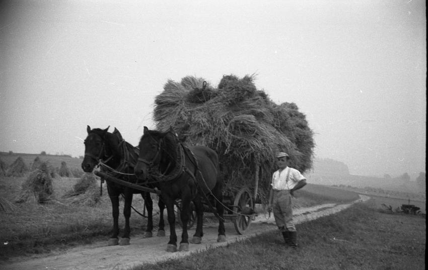 0133 Klotz Gottfried