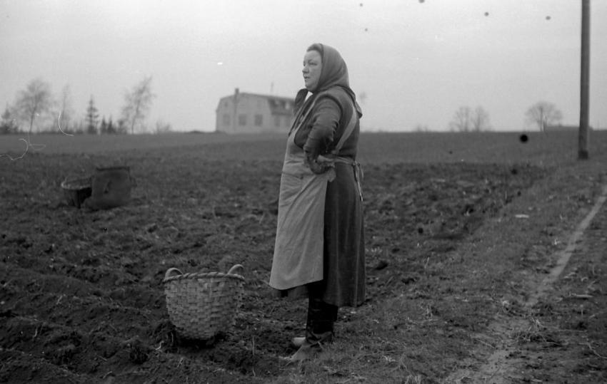 0191 Nachlese bei Richterhilf