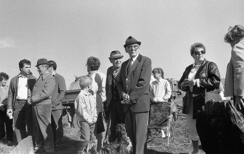 1990 Richterlinde 013