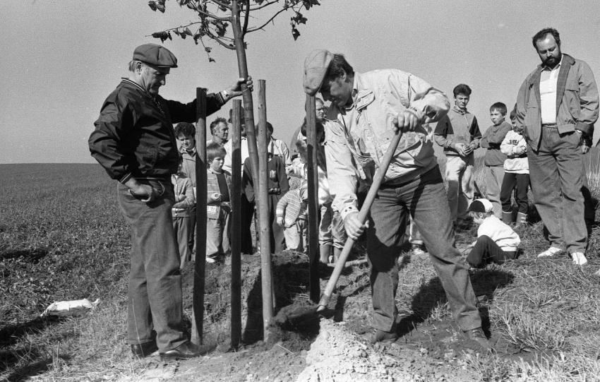 1990 Richterlinde 012