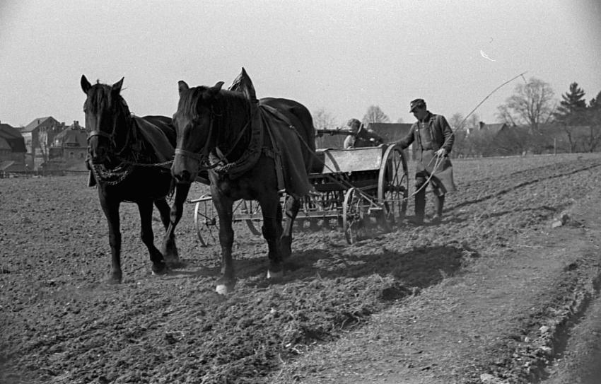 0063 Fruhjahrsaussaat bei Gottfried Klotz