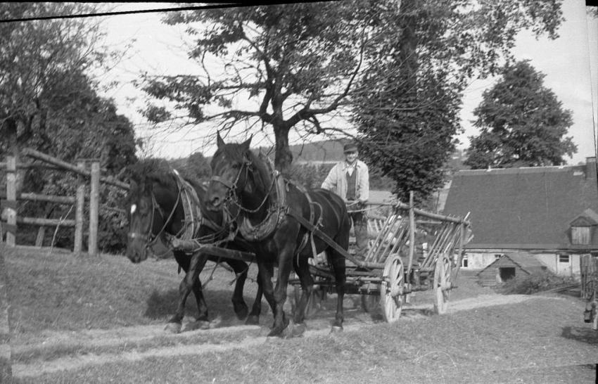 0098 Albin Loos mit Erntewagen