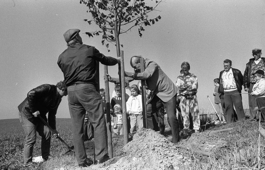 1990 Richterlinde 010