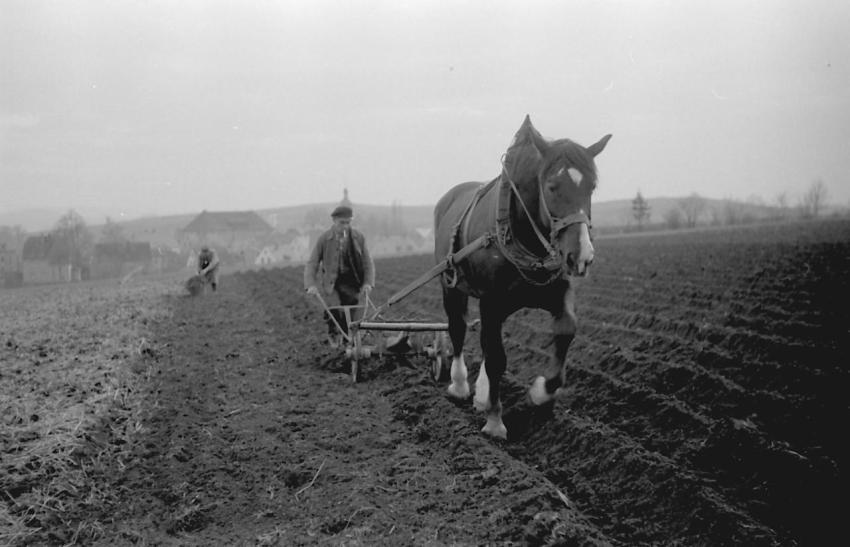 0190 Richterhilf beim Pflugen
