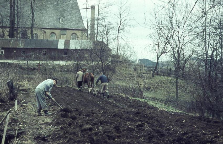 Rekultivierung Kirchteich 03
