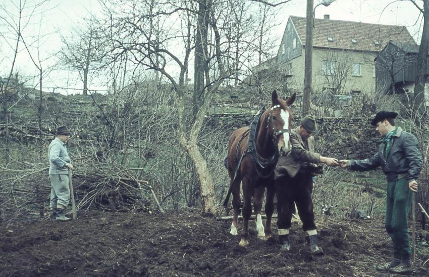 Rekultivierung Kirchteich 02