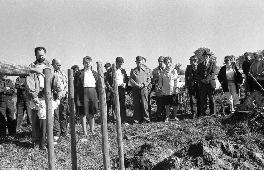 1990 Richterlinde 004