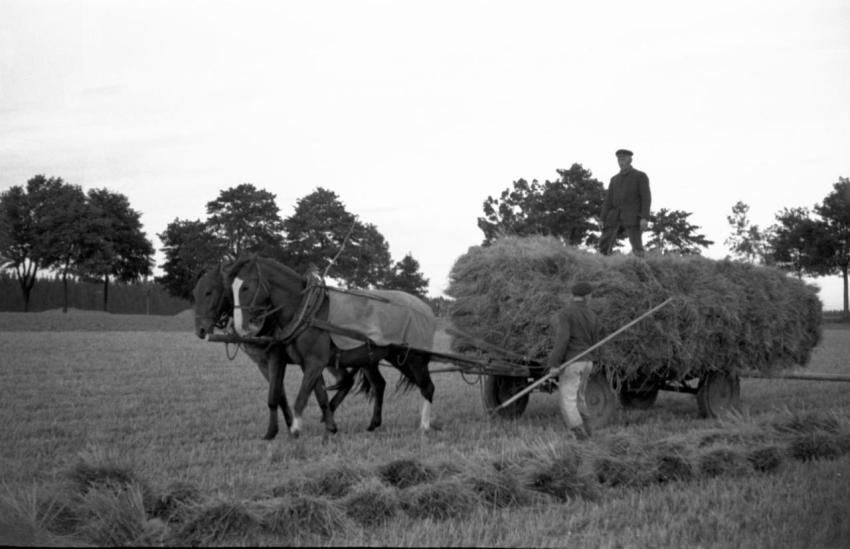 0129 Schuffenhauer Arno Wiltzschlieb