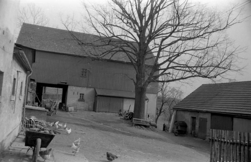 0067 Fruhling  Morgenstern Scheune