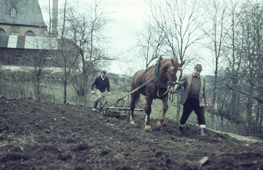Rekultivierung Kirchteich 01