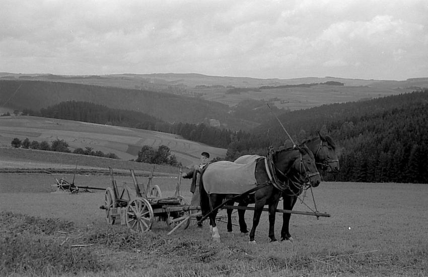 0102 Bruno Bauer beim Futter holen