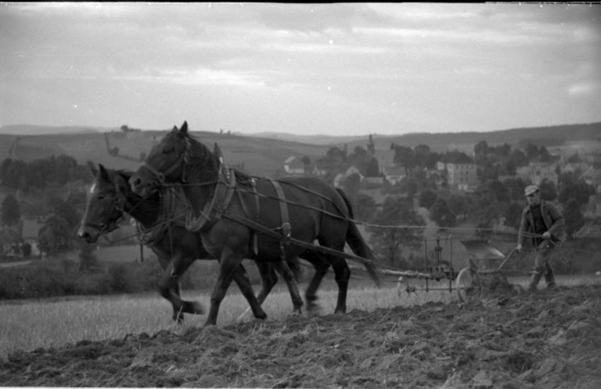 0134 Stoppel umackern