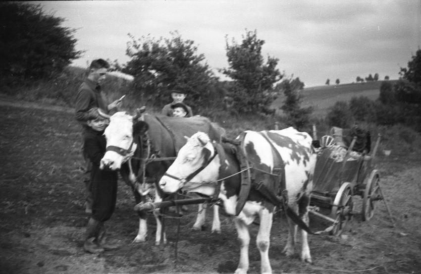 0030 Gotthard Paulig