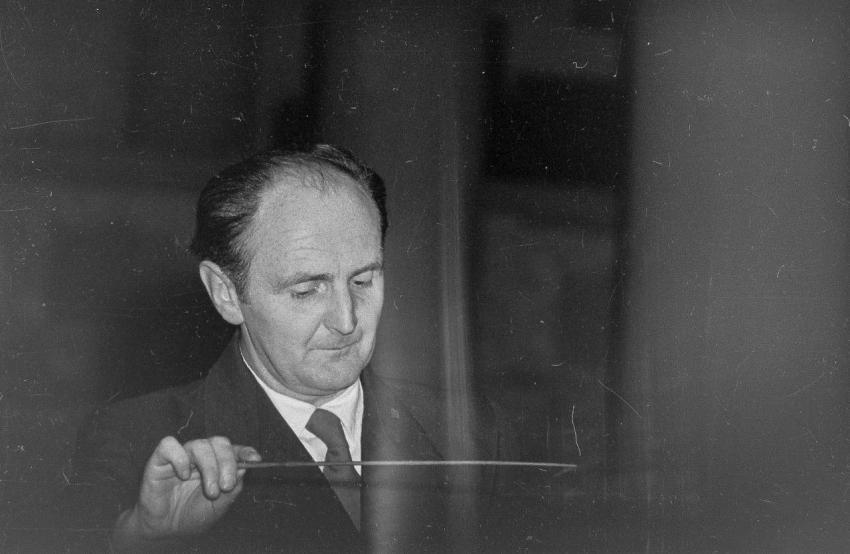 Fotoarchiv Pilz 0121