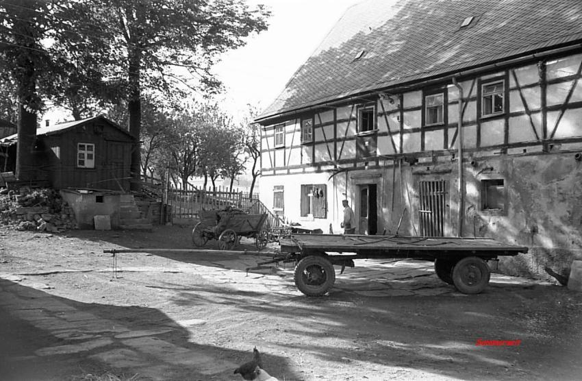 0082 Sommer bei Richterhilf