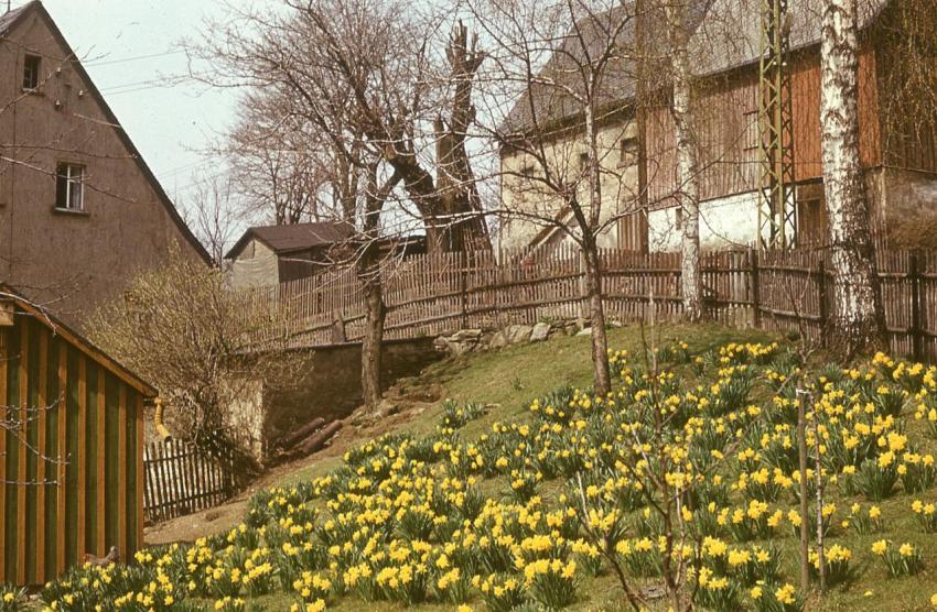 1967BauernhofKlotzKirchberg