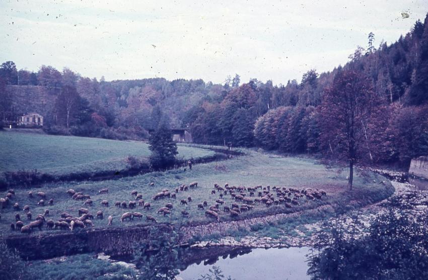 WeidelandanderZschopau