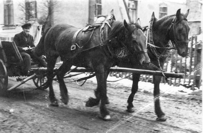 0054 Gunter Hanel mit Fuhrwerk