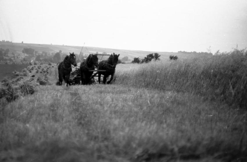 0132  Klotz Gottfried