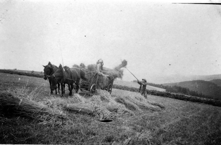 0095 Max und Milda Klotz