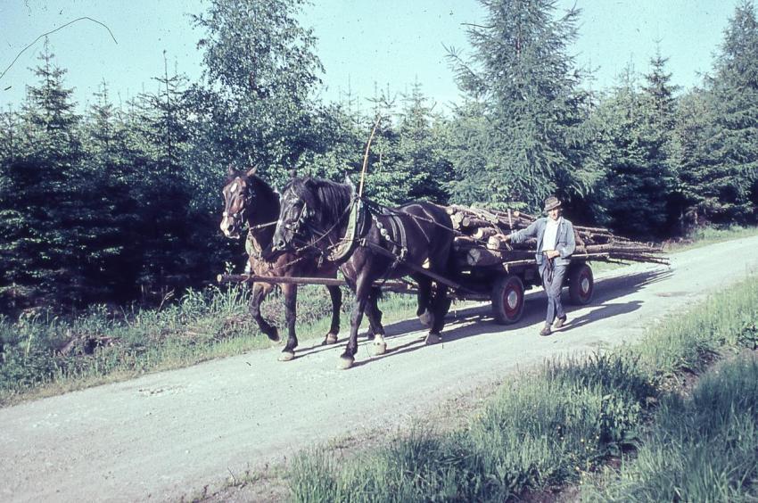 BauerMorgenstern1963