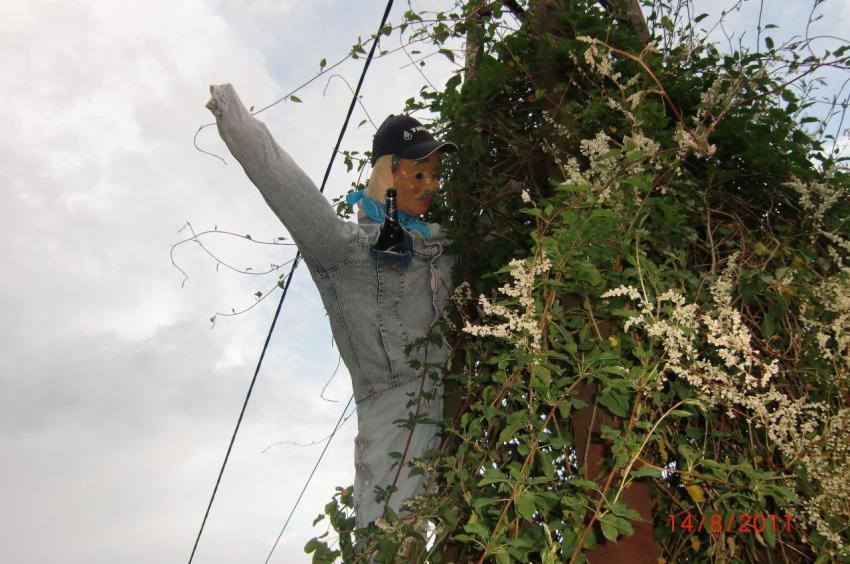 316 (von Hippke Thomas) Warmbadstr  35 Heimatfest 2011 739