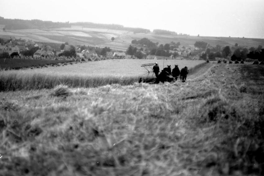 0131 Klotz Gottfried