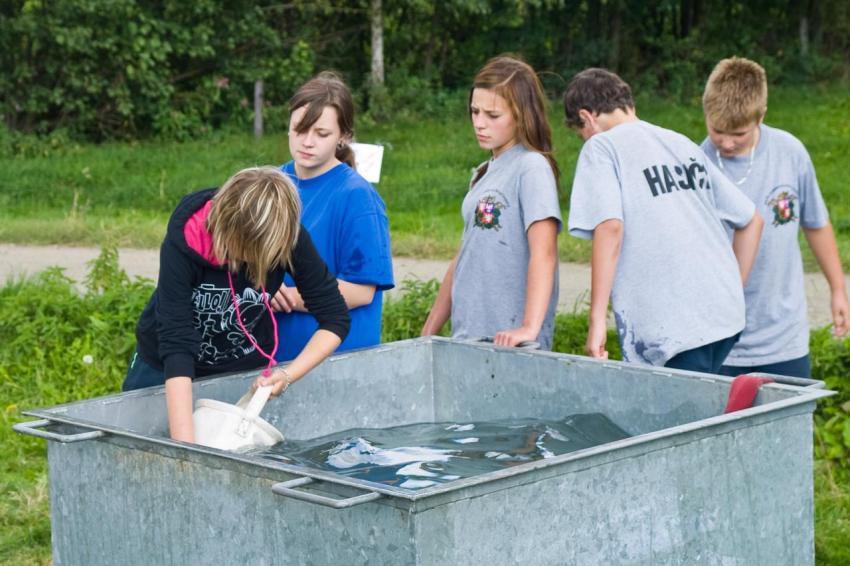2013 Euroregionausscheid Jugendfeuerwehren 171