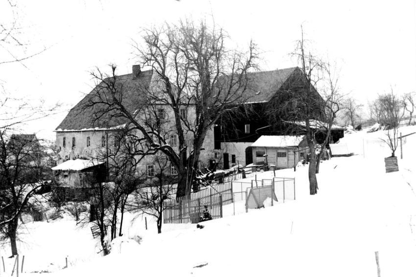 0021 Birkengut Meyer