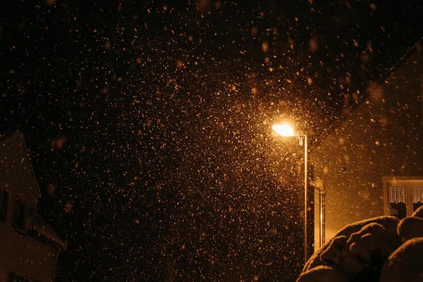 Winter 09 01 2019 033