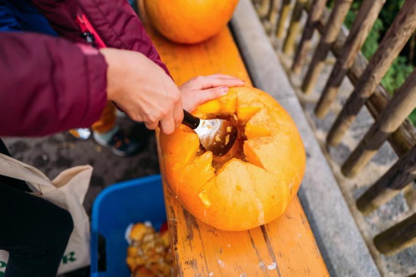 Kürbisschnitzen 14 10 2023  09