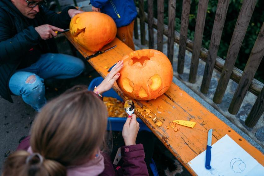 Kürbisschnitzen 14 10 2023  35